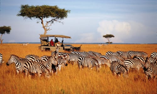 Walking safari Serengeti National Park, Tanzania